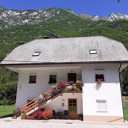 Apartma Pod Rozem Soča Eksteriør bilde