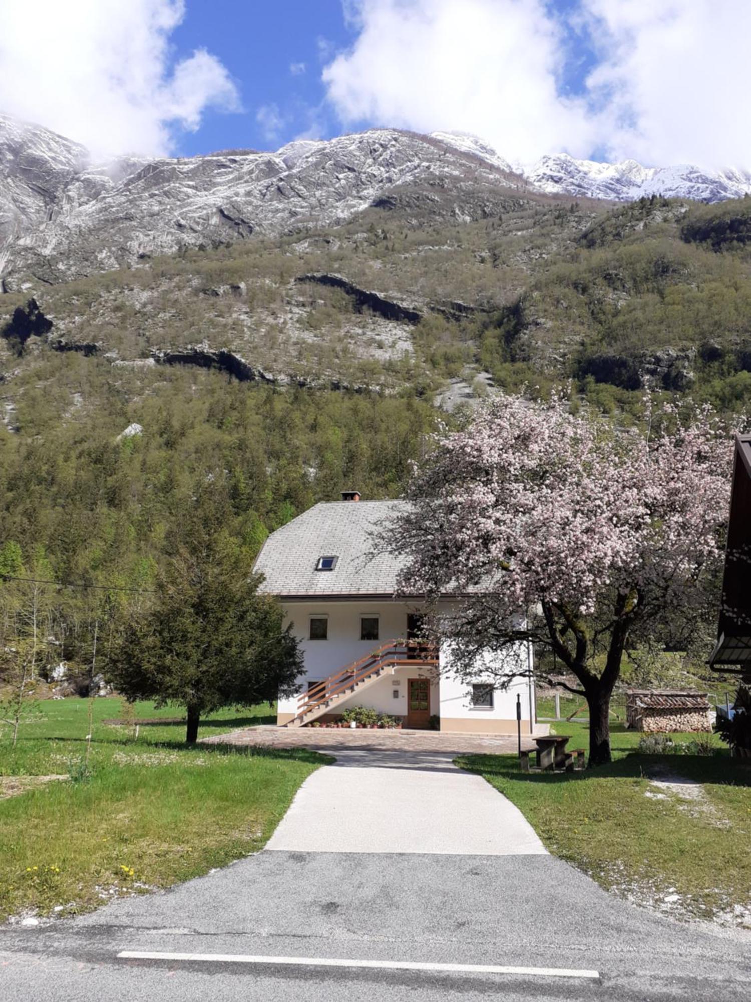 Apartma Pod Rozem Soča Eksteriør bilde