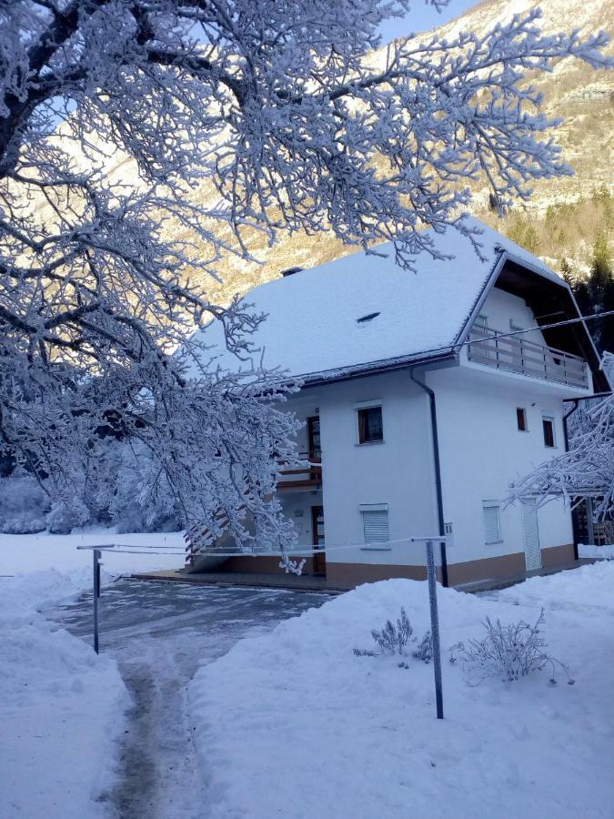Apartma Pod Rozem Soča Eksteriør bilde