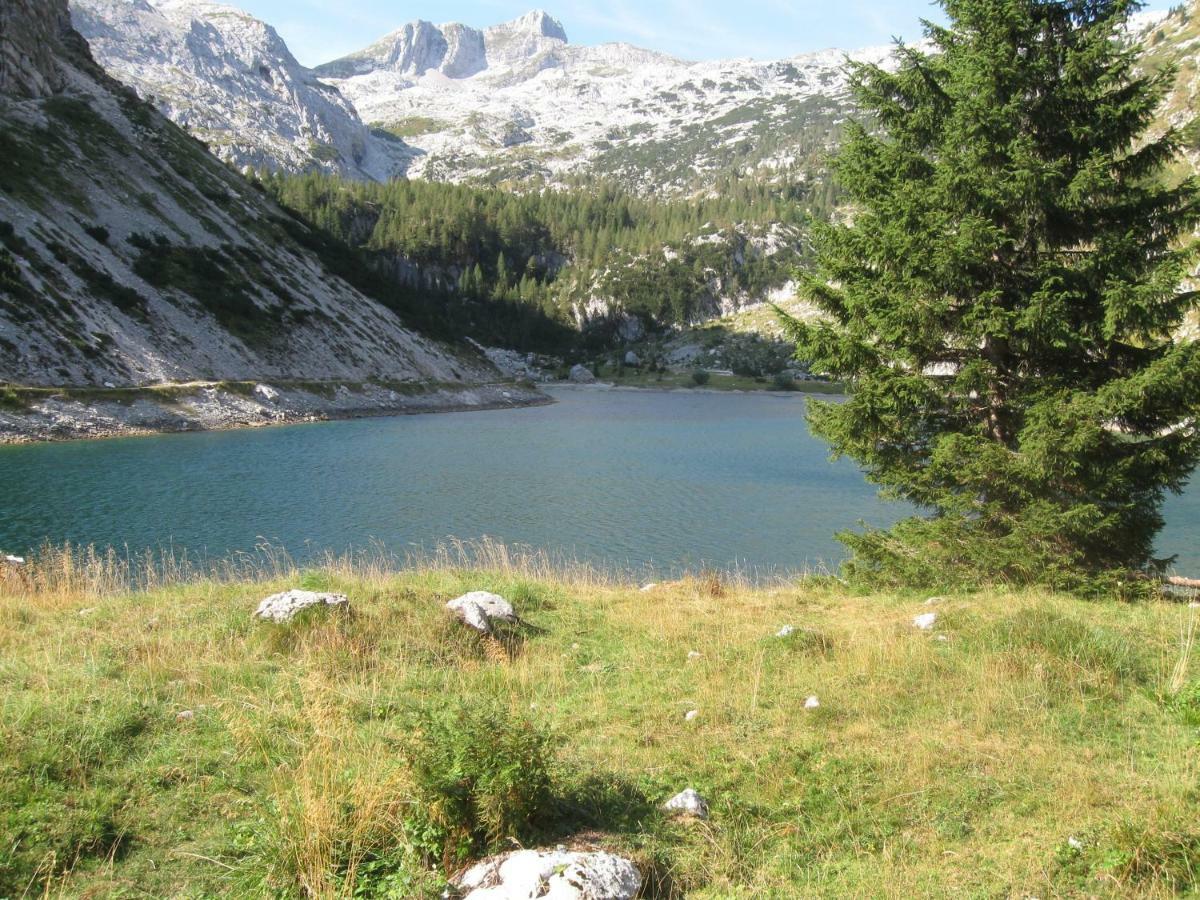 Apartma Pod Rozem Soča Eksteriør bilde