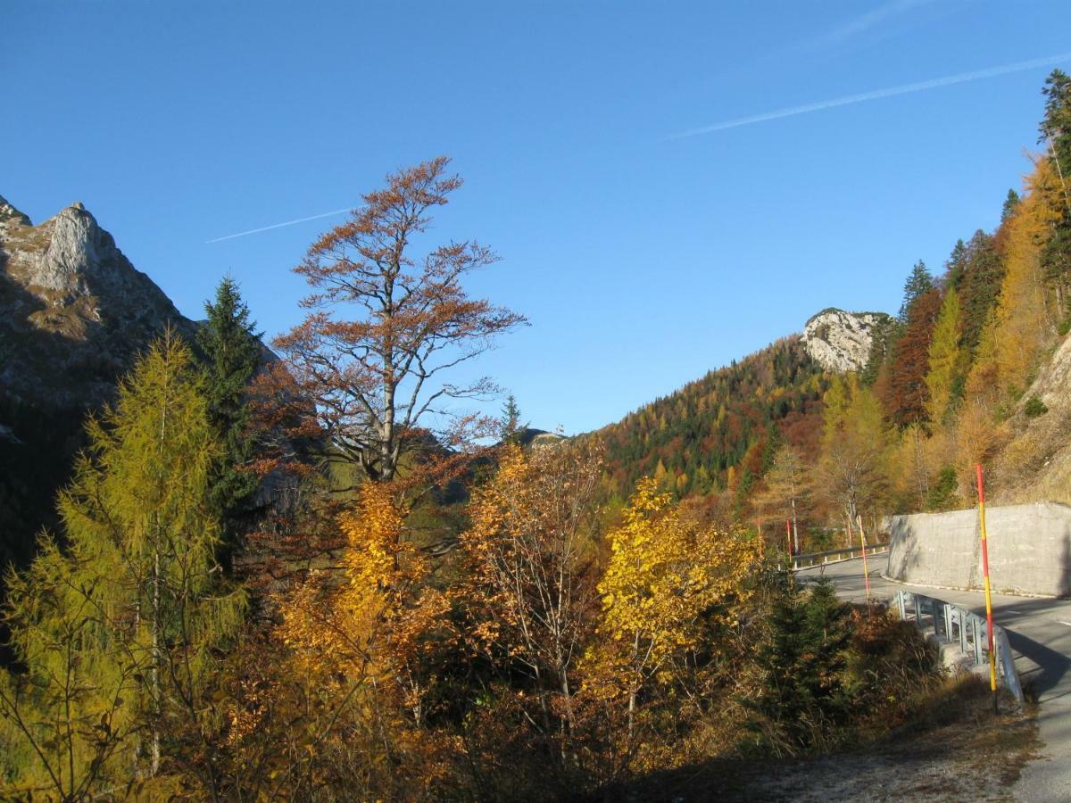 Apartma Pod Rozem Soča Eksteriør bilde